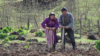 Bitkisel üretim sert düşüşte, “Sorun sadece iklim değil, yönetim modelinde”