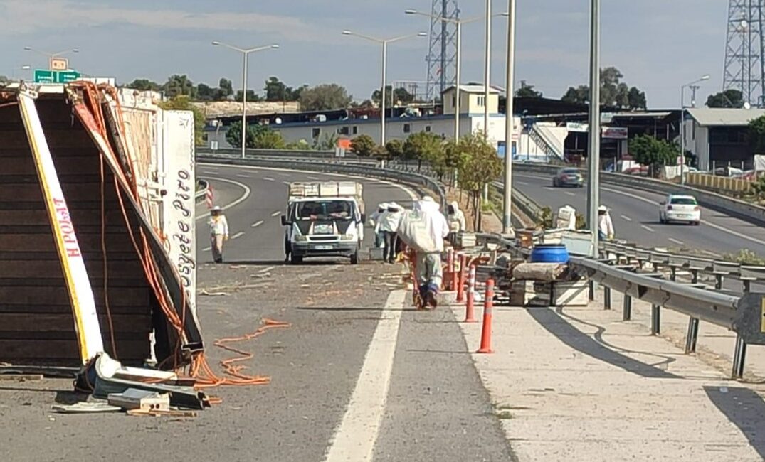 Otoyol çıkışında kamyon kaza yaptı, binlerce arı çevreye yayıldı Mersin’de kamyonun kaza yapması sonucu 3 kişi yaralandı, devrilen kovanlardan