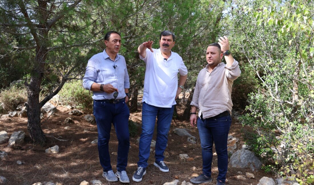 Toroslar Belediyesi, sokak hayvanları için Türkiye’nin örnek projelerinden biri olacak