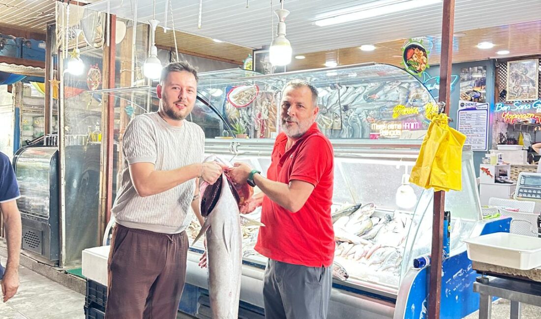 DENİZ BALIK’TAN 23 KİLOLUK AKYA BALIĞI Denizin Kuzu’su Tezgâhta Yerini Aldı