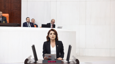 CHP Mersin Milletvekili Gülcan Kış, TBMM Genel Kurulu’nda yaptığı konuşmada Milli