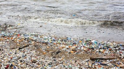 Avrupa Birliği’nin çevre raporları, yeni bir “temizlik illüzyonu”na işaret ediyor: