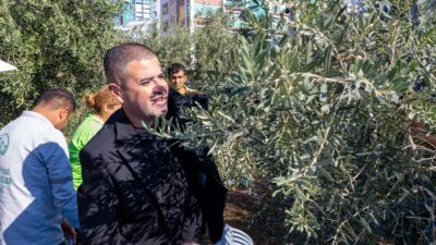Mezitli Belediye Başkanı Ahmet Serkan Tuncer, geleneksel hale gelen zeytin