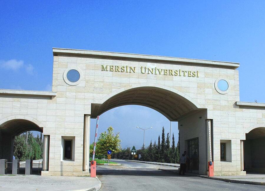 Mersin Üniversitesi, üniversitenin çeşitli fakülte ve birimlerindeki akademik kadro açıklarını