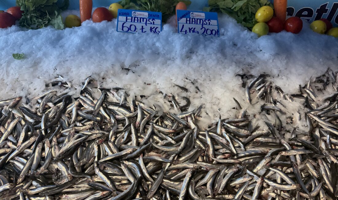 Mevsim şartlarına bağlı olarak bollaşan hamsinin kilogram fiyatı bu hafta