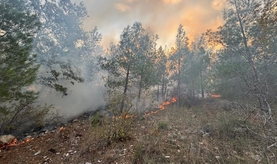 Mersin‘in Bozyazı ilçesinde çıkan orman yangını, ekiplerin müdahalesiyle kontrol altına