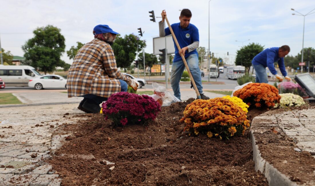 TOROSLAR’IN YEŞİL ALANLARI KASIMPATI İLE RENKLENDİ Toroslar Belediyesi, ilçe genelinde bakım, onarım ve yenileme çalışmalarını aralıksız
