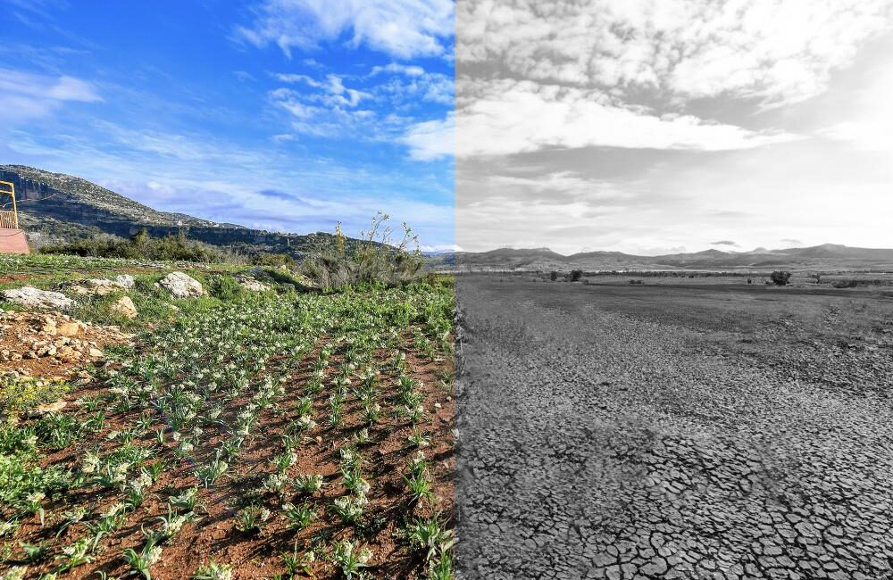 Küresel iklim değişikliğinin yıkıcı etkileriyle mücadele, yerel yönetimlerin en öncelikli