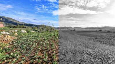 Küresel iklim değişikliğinin yıkıcı etkileriyle mücadele, yerel yönetimlerin en öncelikli