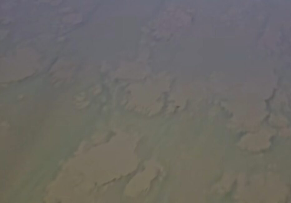 Göksu Nehri Alarm Veriyor. Zeytin Posası Kokusu ve Yağ Tabakası