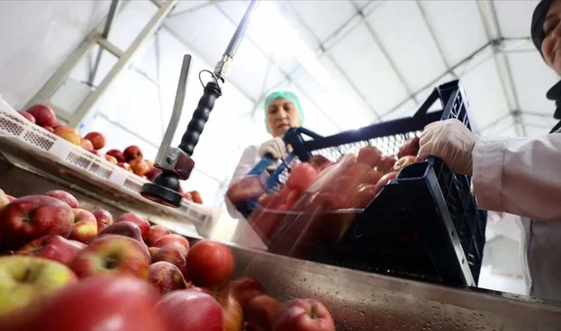 Ticaret Bakanlığı tarafından Kooperatiflerin Desteklenmesi Programı (KOOP-DES) kapsamında 2025 yılı