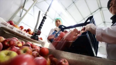 Ticaret Bakanlığı tarafından Kooperatiflerin Desteklenmesi Programı (KOOP-DES) kapsamında 2025 yılı