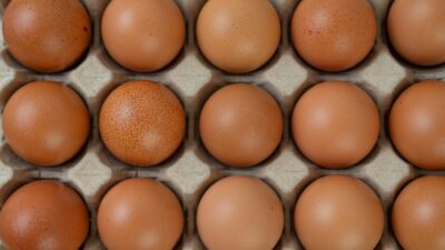 Edirne Milletvekili ve Ziraat Mühendisi Ediz Ün, Türkiye’de yumurta üretiminin