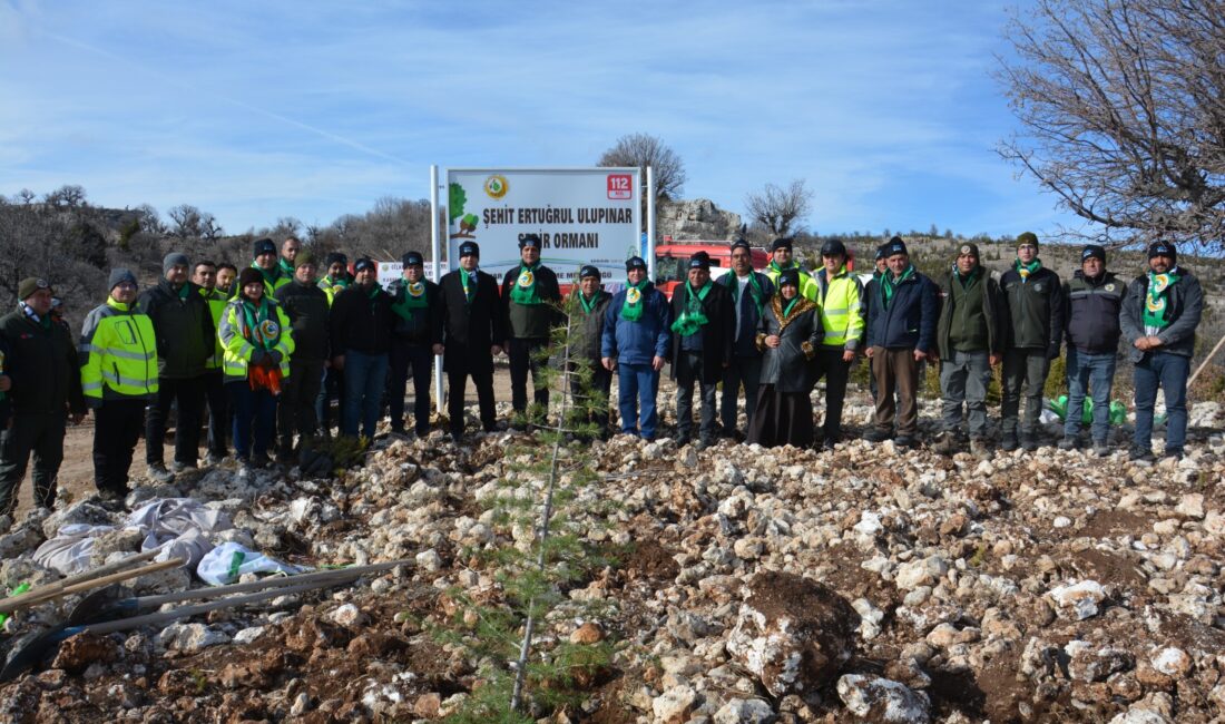 Yeni Yıla Yeşil Bir Miras: Şehit Ertuğrul Ulupınar Sedir Ormanı Mersin Orman Bölge Müdürlüğü tarafından, 2025 yılının son günlerinde anlamlı