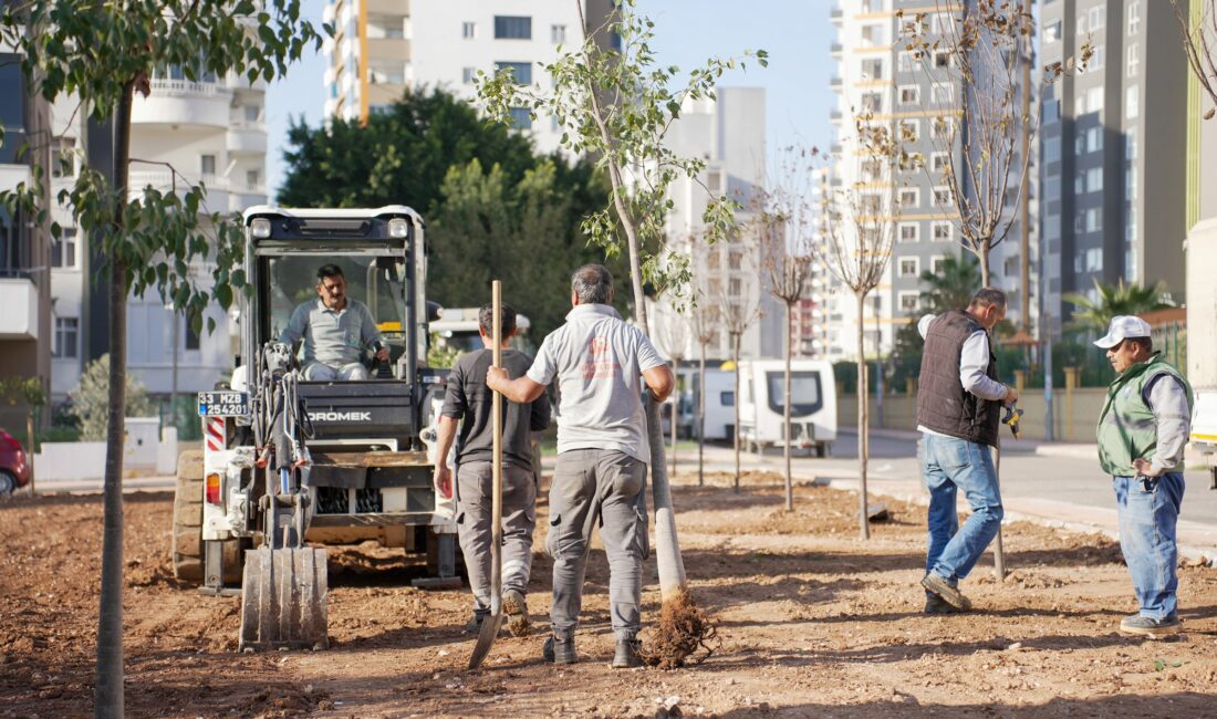 MEZİTLİ’DE AĞAÇLANDIRMA ÇALIŞMALARI ARALIKSIZ SÜRÜYOR Mezitli Belediyesi, kent genelinde sürdürdüğü ağaçlandırma ve yeşillendirme çalışmalarıyla ilçenin