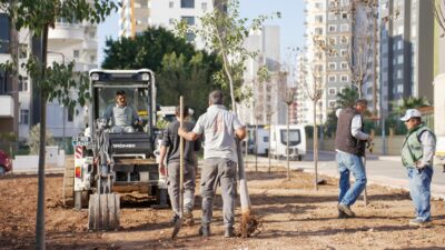 Mezitli Belediyesi, kent genelinde sürdürdüğü ağaçlandırma ve yeşillendirme çalışmalarıyla ilçenin
