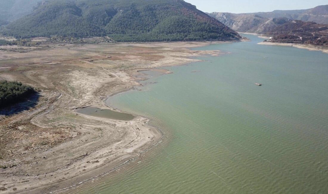 Doğu Akdeniz’de Su Krizi Derinleşiyor: ‘SU BİTERSE HAYAT DA BİTER’ Mersin Çevre ve Doğa Derneği -MERÇED- Başkanı Sabahat Aslan, Doğu