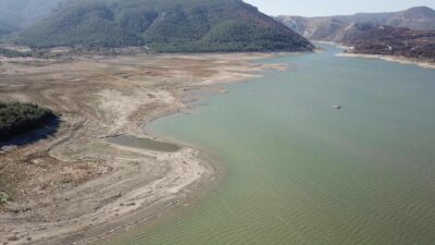 Mersin Çevre ve Doğa Derneği -MERÇED- Başkanı Sabahat Aslan, Doğu