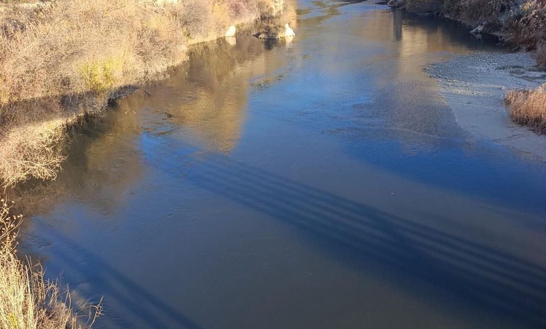 Göksu Nehri’ne bırakılan kirli atıklar, doğayı ve havayı ciddi şekilde