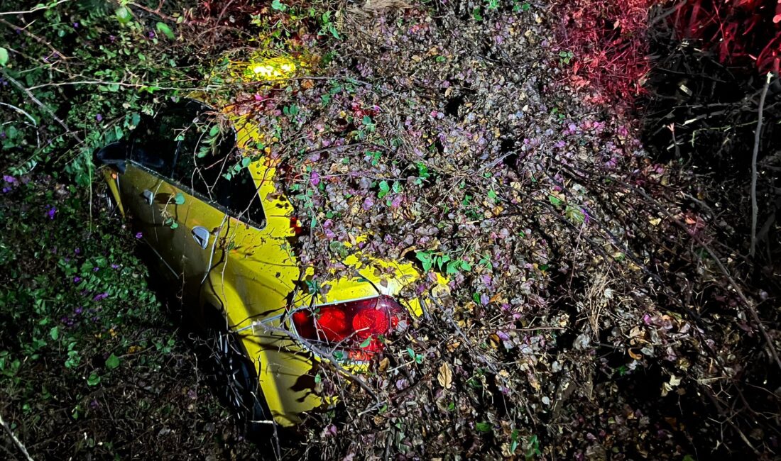 Mersin’de yol kenarında bulunan bir ağaç, sürücüsünün içinde olduğu otomobilin