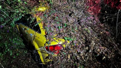 Mersin’de yol kenarında bulunan bir ağaç, sürücüsünün içinde olduğu otomobilin