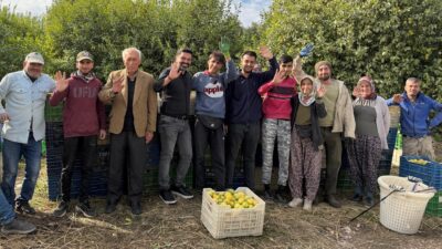 Binlerce aileye ekmek kapısı olan limonun başkenti olarak bilinen Mersin‘in Erdemli