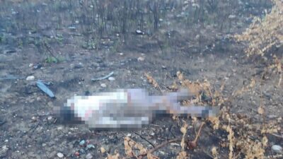 Mersin’de meydana gelen kazada yaklaşık 30 metre yüksekliğindeki viyadükten aşağı