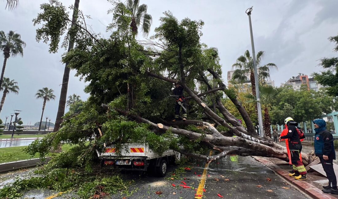 Mersin’de yağmurun etkisiyle kökünden sökülen bir ağaç, yoldan geçen 3