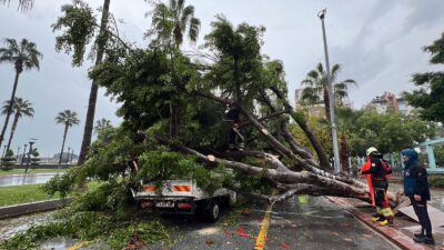 Mersin’de yağmurun etkisiyle kökünden sökülen bir ağaç, yoldan geçen 3