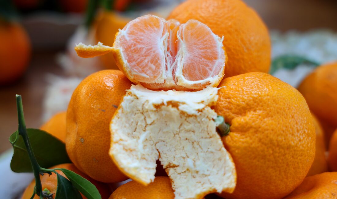 Türkiye’nin önemli narenciye üretim merkezlerinden Adana’da mandalina dalında 3 TL,