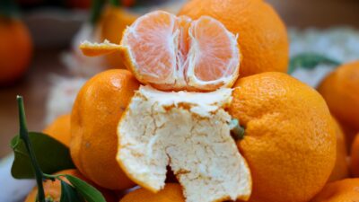 Türkiye’nin önemli narenciye üretim merkezlerinden Adana’da mandalina dalında 3 TL,