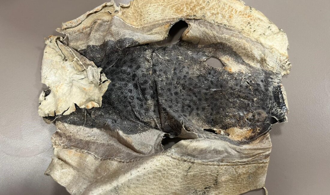 Alanya’da bir şirkette müdür olarak görev yapan Mehmet Özata, balon