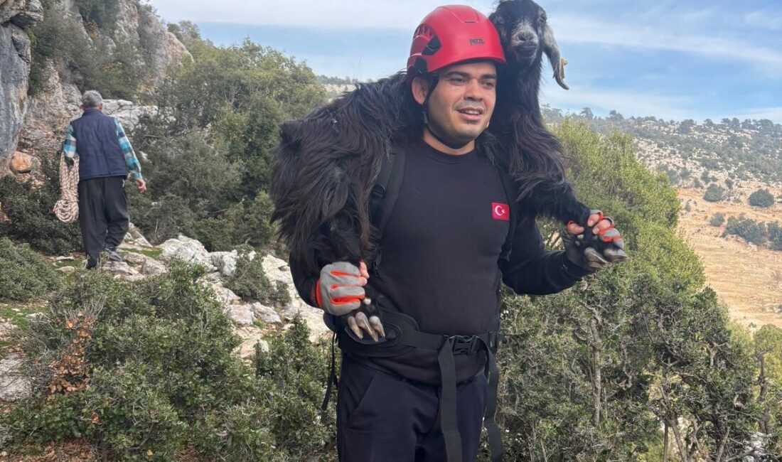 Mersin‘de kayalıklarda mahsur kalan 2 keçi, itfaiye ekiplerinin kontrollü çalışmasıyla