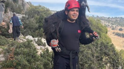 Mersin‘de kayalıklarda mahsur kalan 2 keçi, itfaiye ekiplerinin kontrollü çalışmasıyla