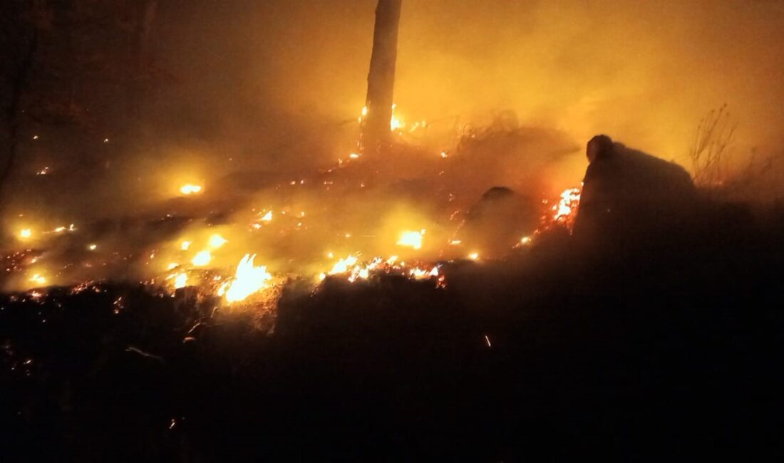 Bozyazı’da çıkan orman yangını kontrol altına alındı Mersin’in Bozyazı ilçesinde çıkan orman yangını, ekiplerin yoğun müdahalesiyle kontrol