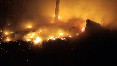 Mersin’in Bozyazı ilçesinde çıkan orman yangını, ekiplerin yoğun müdahalesiyle kontrol