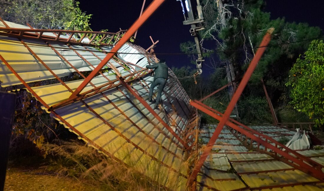 Mersin’de şiddetli rüzgar çatıyı uçurdu, asırlık meşeyi devirdi Mersin’de şiddetli rüzgar yerinden söktüğü bir evin çatısını uçurup çam