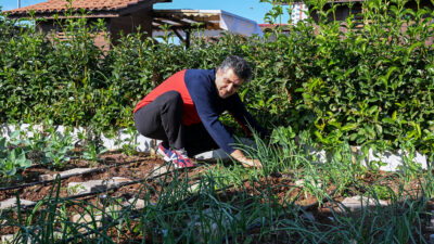 Mersin Büyükşehir Belediyesi’nin Toroslar ilçesinde kurduğu Hobi Parkı’nda kış hazırlıkları