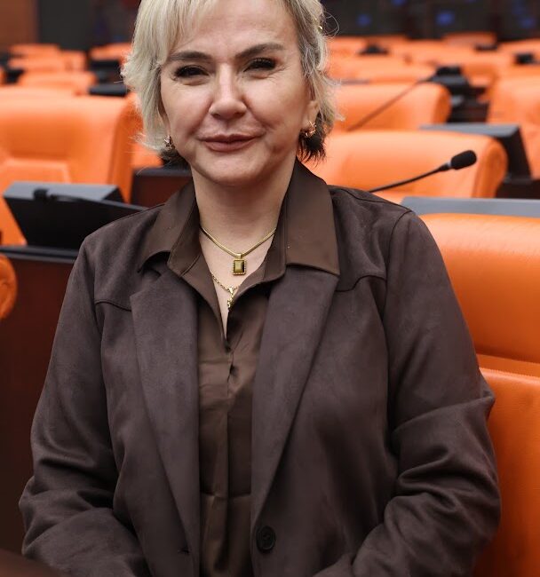 CHP İstanbul Milletvekili Nimet Özdemir, Su Kirliliği Kontrolü Yönetmeliği’nde yapılan