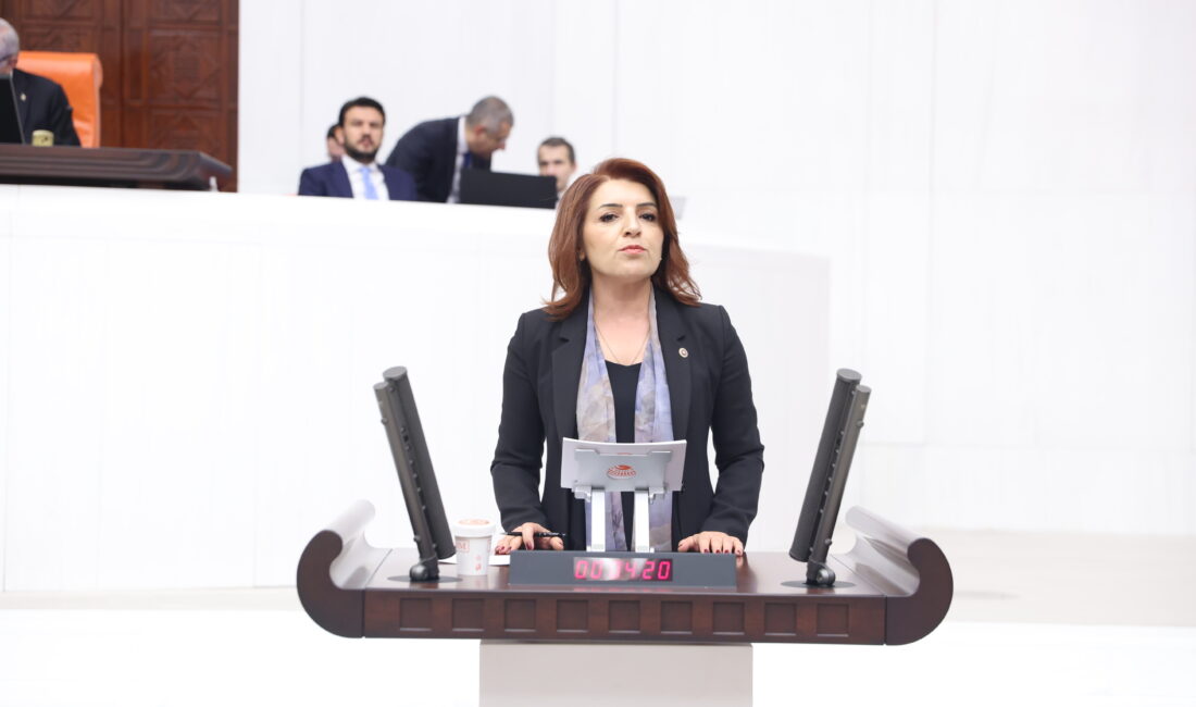 CHP Mersin Milletvekili Gülcan Kış, 2026 Yılı Bütçe Görüşmeleri’nde Enerji