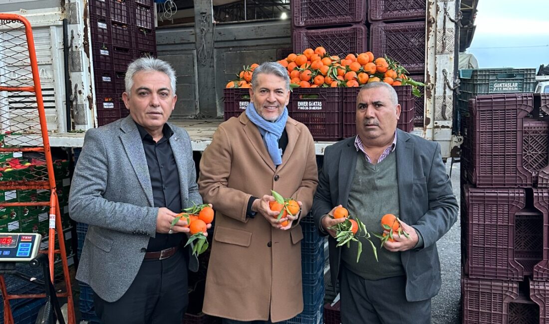 Milliyetçi Hareket Partisi Mersin Milletvekili ve MYK Üyesi Dr. Levent