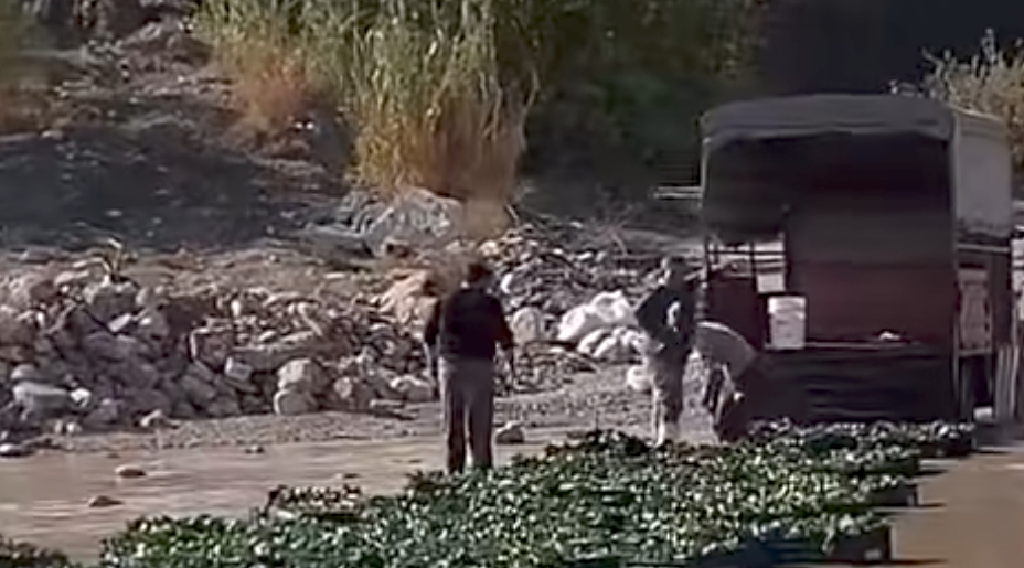 DELİ ÇAY SUYUNDAKİ KİRLİLİK PAZAR ÜRÜNLERİNE KADAR UZANDI: “YILLARDIR ŞİKÂYET EDİYORUZ, ÇÖZÜM YOK!” Mersin’de sosyal medyada paylaşılan bir yorum, Akdeniz Belediyesi sınırları içerisinde