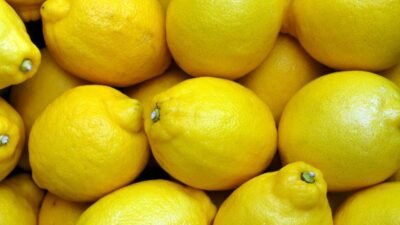 Mersin limonu yıllardır zincirleri kıramayıp sadece taze meyve olarak ihraç