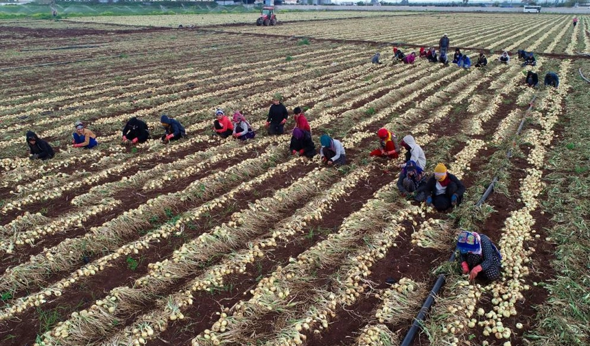 CHP Adana Milletvekili ve TBMM KİT Komisyonu Üyesi Orhan Sümer,