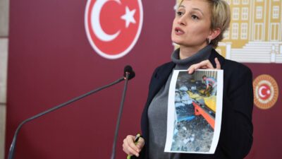 DEM Parti Mersin Milletvekili Perihan Koca, TBMM Genel Kurulu’nda yaptığı