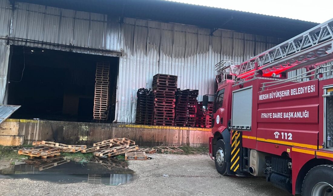 Narenciye fabrikasında yangın çıktı, çok sayıda ekip müdahale etti Mersin‘de bir narenciye fabrikasının paketleme bölümüne yangın çıktı, çok sayıda