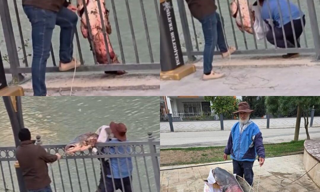 Mersin‘de Silifke ilçesinden geçen Göksu Nehri’nde balık tutan bir kişinin