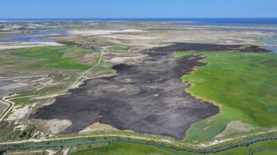 Çevre uzmanı Prof. Dr. Halil Kumbur, 2026 yılına girerken Türkiye