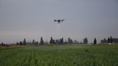 Türkiye’nin tarımda önemli üretim merkezlerinden Mersin‘de dronla yapılan gübreleme ve ilaçlama