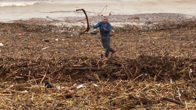 Mersin‘de yaşanan sel afetinin ardından coşan derelerin aktığı Akdeniz’de kahverengiye